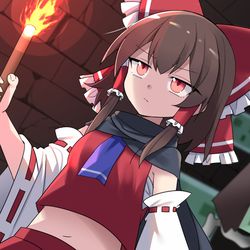 This is a pixiv picture whose title is 霊夢の挑戦.