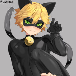 This is a pixiv picture whose title is Cat Noir.