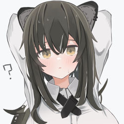 This is a pixiv picture whose title is アークナイツ ロビン.
