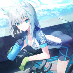 This is a pixiv picture whose title is シロコ.