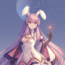 This is a pixiv picture whose title is 月兔.