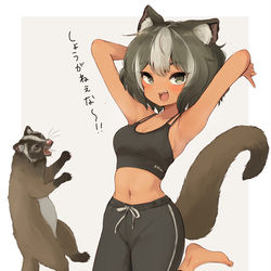 This is a pixiv picture whose title is ハクビシン娘ちゃんinフィットネス.