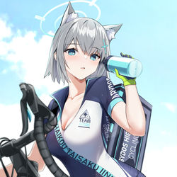This is a pixiv picture whose title is シロコ.