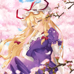 This is a pixiv picture whose title is 桜と紫様.
