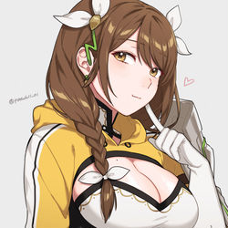 This is a pixiv picture whose title is ゴルドマリー.