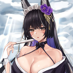 This is a pixiv picture whose title is 武蔵.