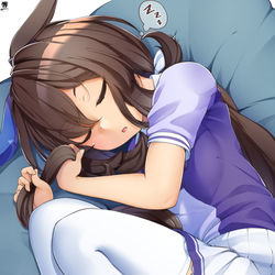 This is a pixiv picture whose title is 尻尾抱いて寝るアヤベさんすき.