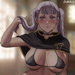 This is a pixiv picture whose title is Noelle.
