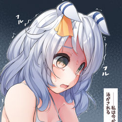 This is a pixiv picture whose title is プールトレーニング前のヒシミラクル.