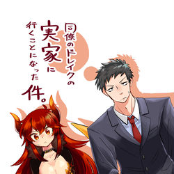 This is a pixiv picture whose title is 【にじそ07】新刊表紙.