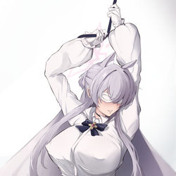 This is a pixiv picture whose title is 慈愛の怪盗.