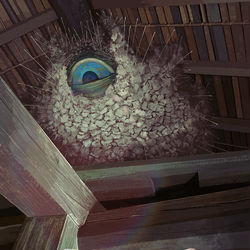 This is a pixiv picture whose title is 永劫回帰.