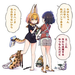 This is a pixiv picture whose title is ダメになってきたサーバルちゃん2.