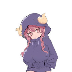 This is a pixiv picture whose title is イルルパーカー.
