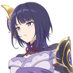 This is a pixiv picture whose title is Raiden shogun/Ei Wolfcut.