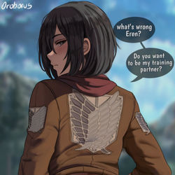 This is a pixiv picture whose title is Mikasa.