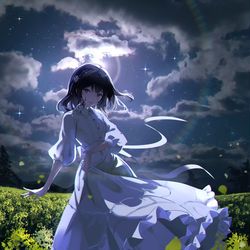 This is a pixiv picture whose title is 花は.