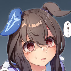 This is a pixiv picture whose title is 何故か破滅に向かいつつある姉を見るアヤベ妹.