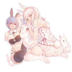 This is a pixiv picture whose title is Emilia & Rem.