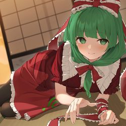 This is a pixiv picture whose title is 雛ちゃん.