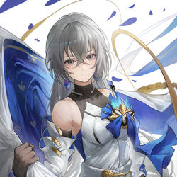 This is a pixiv picture whose title is Bronya.