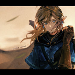 This is a pixiv picture whose title is ティアーズ オブ ザ キングダム.