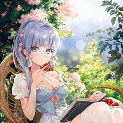 This is a pixiv picture whose title is 綾華.