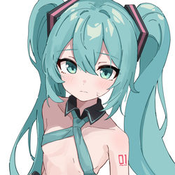 This is a pixiv picture whose title is ミクさん.