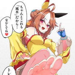 This is a pixiv picture whose title is 風水コパノリッキー.