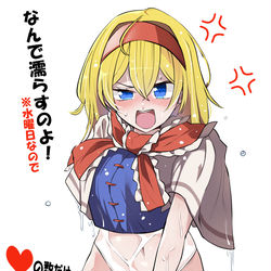 This is a pixiv picture whose title is いいねの数だけアリスのスカートが短くなります　その３.