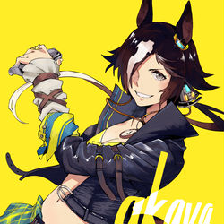 This is a pixiv picture whose title is ウオッカ.