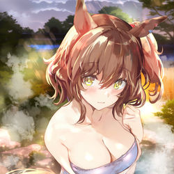 This is a pixiv picture whose title is 温泉マーちゃん.