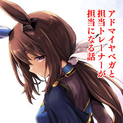 This is a pixiv picture whose title is アドマイヤベガと担当トレーナーが担当になる話.