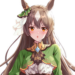 This is a pixiv picture whose title is 全く…トレーナーさんにも困ったものです.