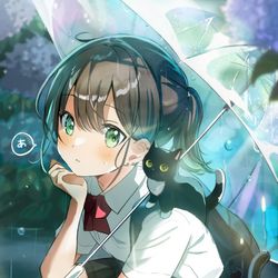 This is a pixiv picture whose title is 「雨があがるまで動けない写真部の先輩」.