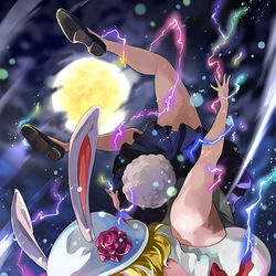 This is a pixiv picture whose title is キャロット（ONE PIECE）.