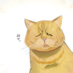 This is a pixiv picture whose title is すっごい垂れ目の猫.