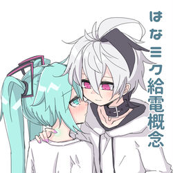 This is a pixiv picture whose title is 花ミク給電概念.