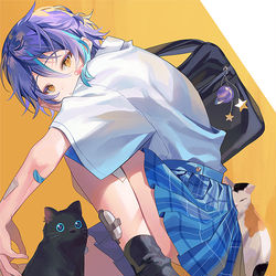 This is a pixiv picture whose title is 猫.