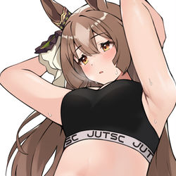 This is a pixiv picture whose title is サトノダイヤモンド.