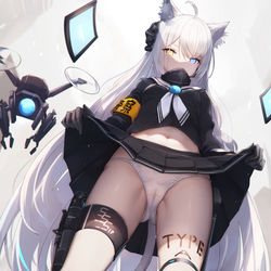 This is a pixiv picture whose title is S.S.S. TYPE-A.