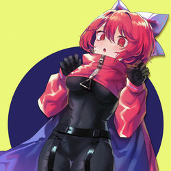 This is a pixiv picture whose title is ばんきちゃん.