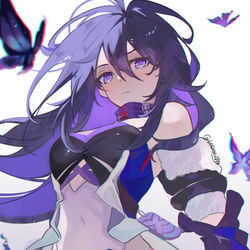 This is a pixiv picture whose title is Seele.