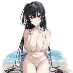This is a pixiv picture whose title is 大鳳.