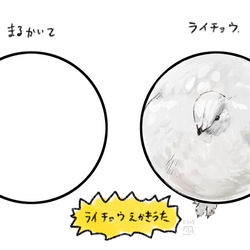 This is a pixiv picture whose title is ライチョウえかきうた.