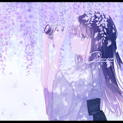 This is a pixiv picture whose title is 藤のカーテン.