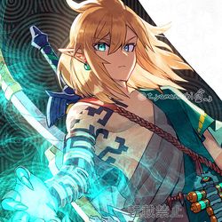 This is a pixiv picture whose title is ゼルダの伝説 ティアーズ オブ ザ キングダム　リンク.