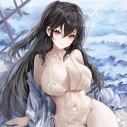 This is a pixiv picture whose title is 大凤【泳装】.