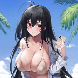 This is a pixiv picture whose title is 大鳳.