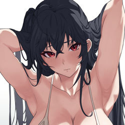 This is a pixiv picture whose title is 大鳳.